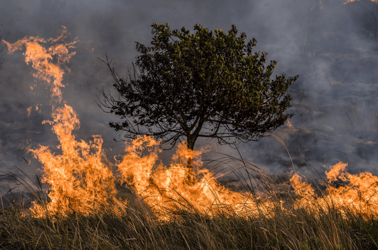 Incêndios