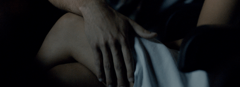 Crimes Sexuais contra Adultos